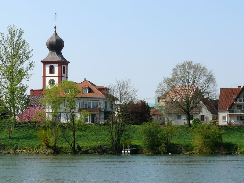  Neckarufer von Neckarhausen 