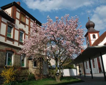 Rund um die malerisch am Neckar gelegene Gemeinde Edingen-Neckarhausen